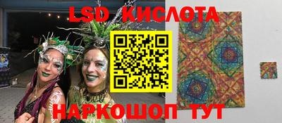 индика Партизанск