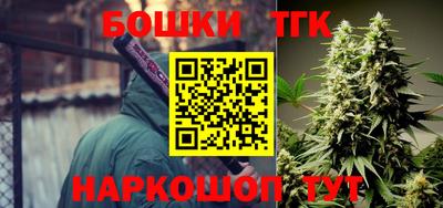 индика Партизанск