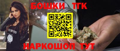 индика Партизанск