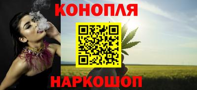 индика Партизанск