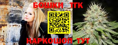 индика Партизанск