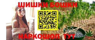 индика Партизанск
