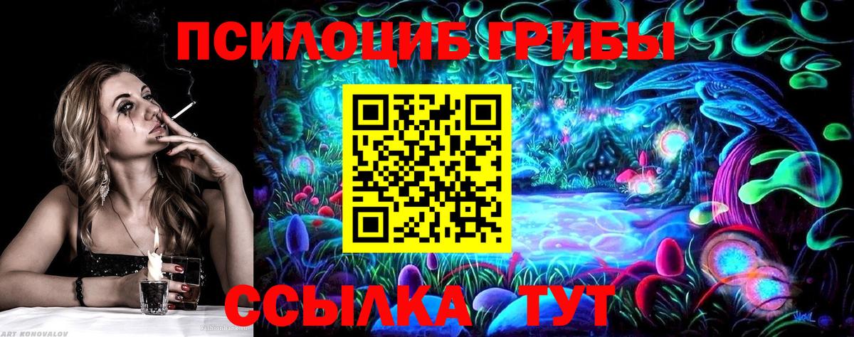 Серпухов  Галлюциногенные грибы Magic Shrooms  купить закладку  Вход с VPN 